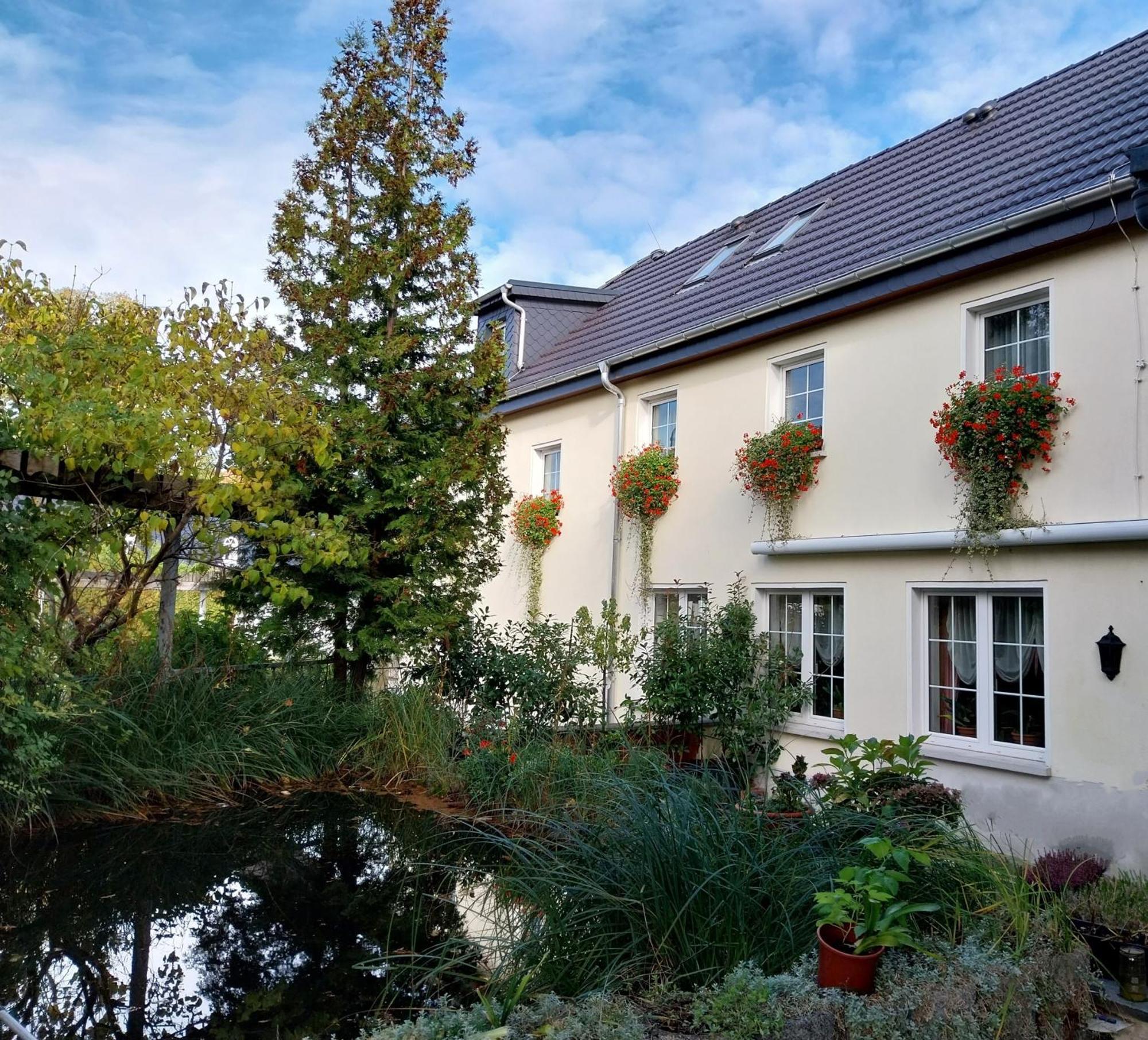 Ferienwohnung - Landhotel Waldschloesschen Sohland an der Spree المظهر الخارجي الصورة