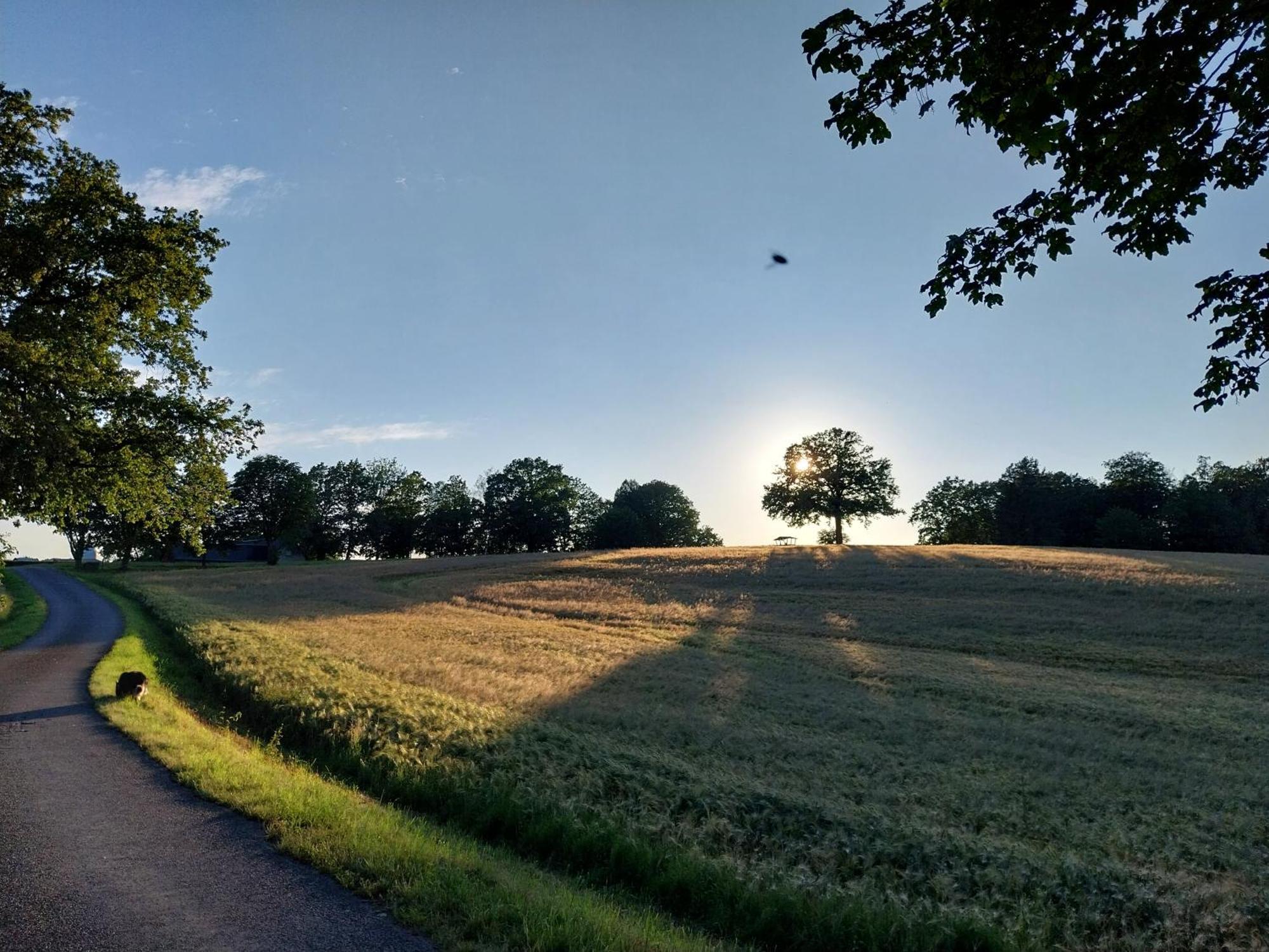 Ferienwohnung - Landhotel Waldschloesschen Sohland an der Spree المظهر الخارجي الصورة